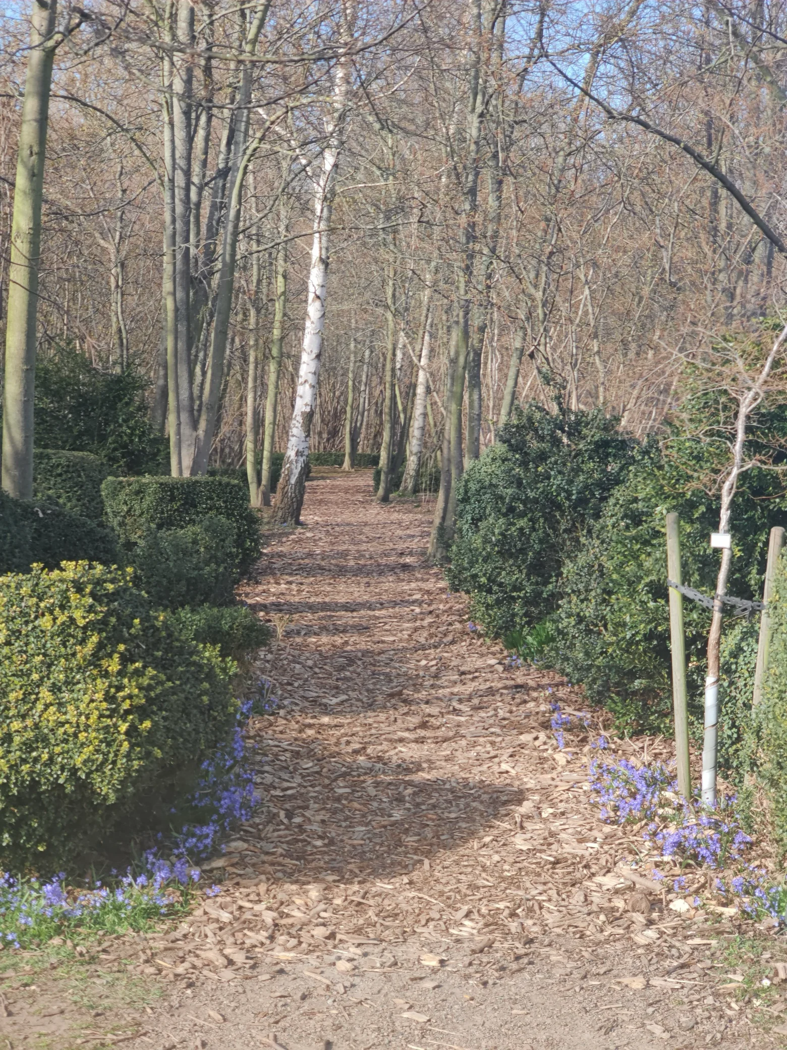 Grön struktur med mjuka former i landskapet