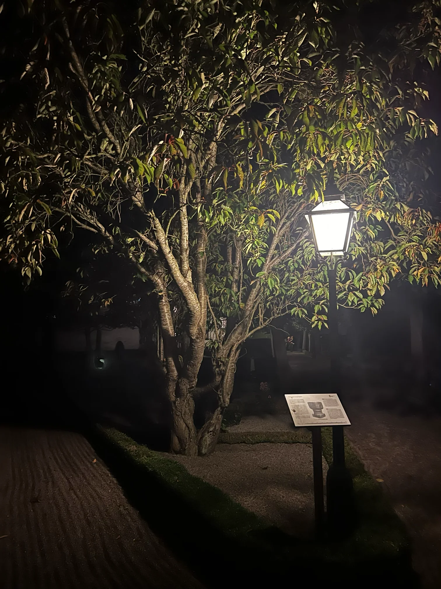 Naturlig plantering i skånsk utemiljö