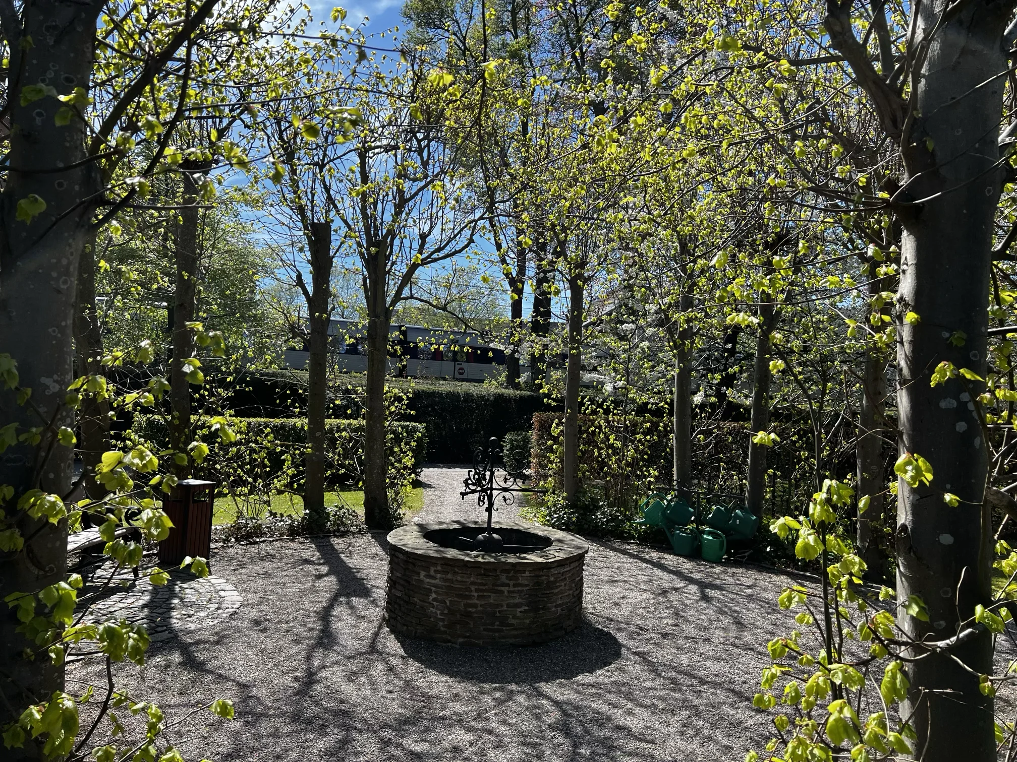 Plats med robust grönska och naturlig rytm